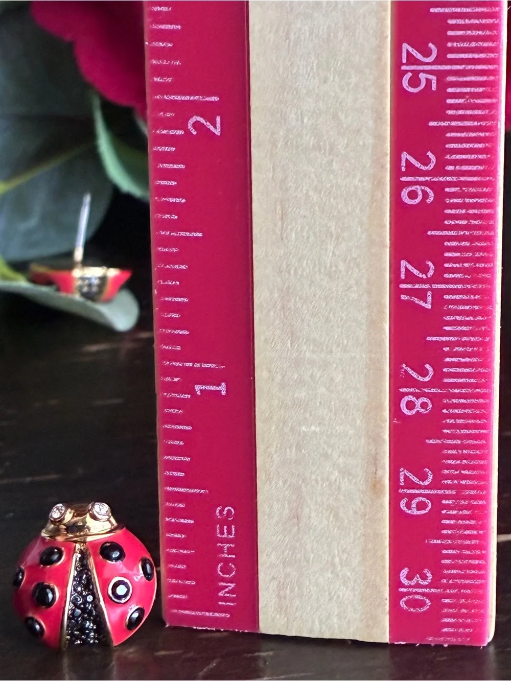 kate spade Red and Black Ladybug Stud Earrings with Gold Accents